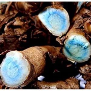 Black Turmeric - Raw