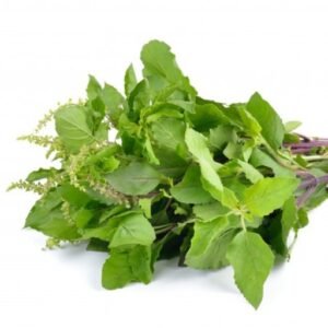 Tulsi - Raw