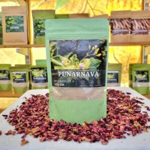 PUNARNAVA