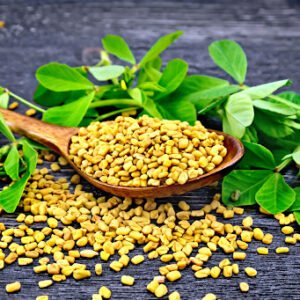 Fenugreek seeds